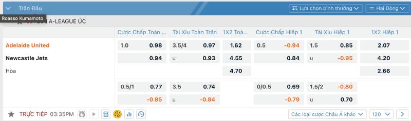 Cược Bóng Đá Trực Tiếp: Cách Cược, Chiến Lược Và Lợi Nhuận Cao 4 Cac Ty Le Cuoc Trong Cuoc Bong Da Truc Tiep